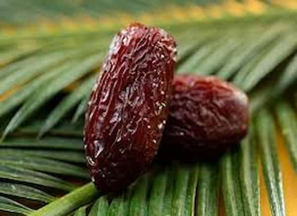 تصویر 5 از فروش خرما شاهانی درجه یک + قیمت خرید به صرفه
